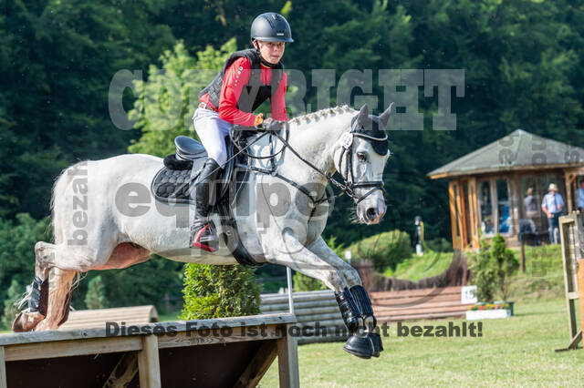 Goldene Schärpe 2021 - Ponys