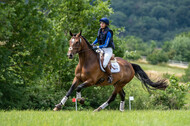 Bonn-Rodderberg Late-Entry-Vielseitigkeit (30.06.2020)