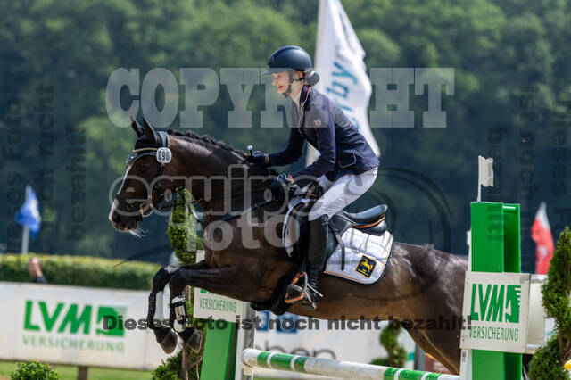 Goldene Schärpe 2021 - Ponys