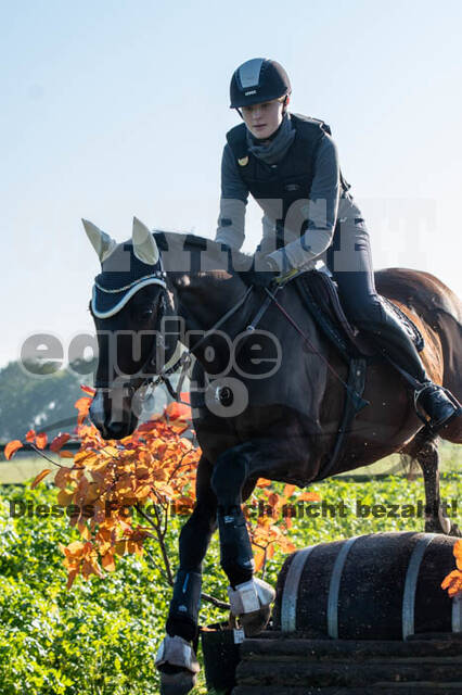 Vielseitigkeitslehrgang mit Jürg Kurbel (9.+10.11.2019)