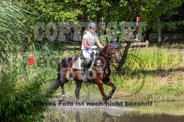 Late-Entry Vielseitigkeit Hamminkeln/Wesel (01.+02.08.2020)