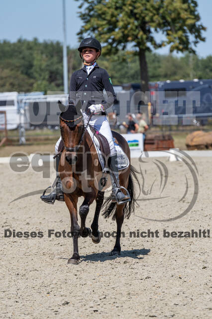 Kronenberg - De Peelbergen (August 2020)