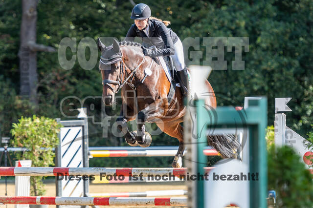 RFV Dinslaken-Hiesfeld (Herbstturnier)