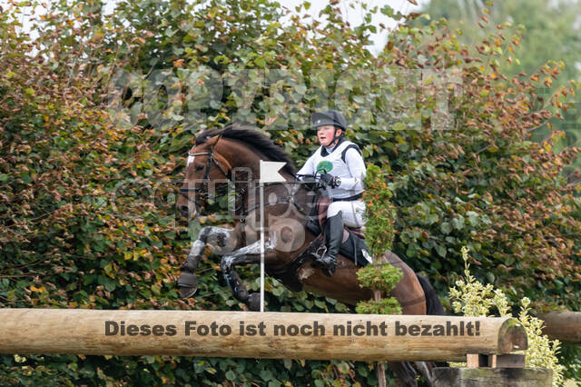 Deutsche Meisterschaft Vielseitigkeit (Luhmühlen)