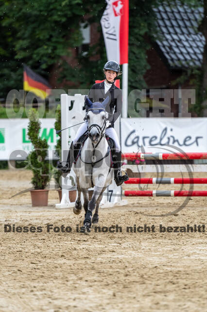 Goldene Schärpe 2021 - Ponys