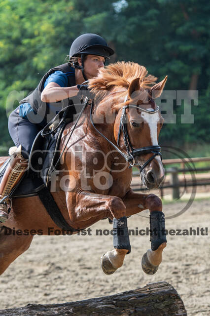 Hunter Geländetraining (16.08.2020)