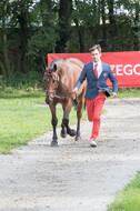 European Championship Eventing 2017