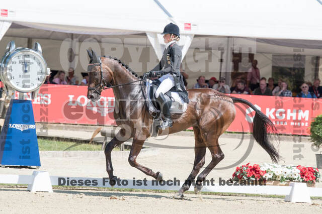 FEI European Championship Eventing 2017