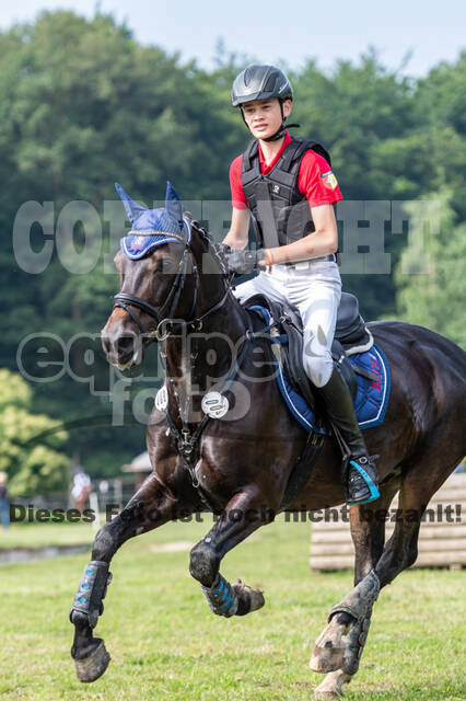 Goldene Schärpe 2021 - Ponys