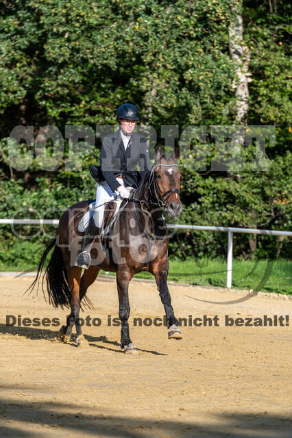RFV Dinslaken-Hiesfeld (Herbstturnier)