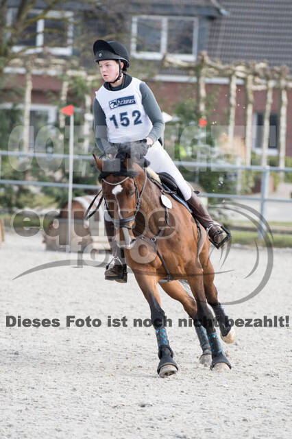 Eventing Langenfeld 2018