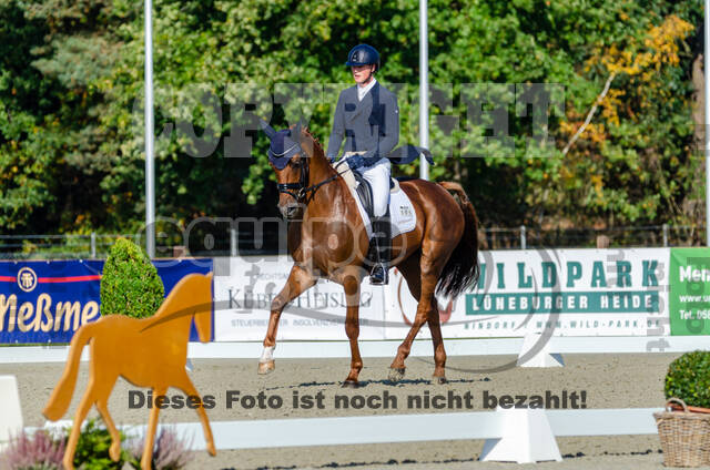 Deutsche Meisterschaft Vielseitigkeit (Luhmühlen)