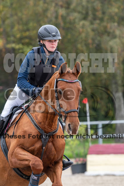 Goldene Schärpe 2020 - Pferde