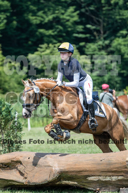 Goldene Schärpe 2021 - Ponys