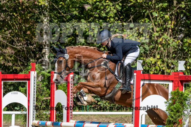 RFV Dinslaken-Hiesfeld (Herbstturnier)