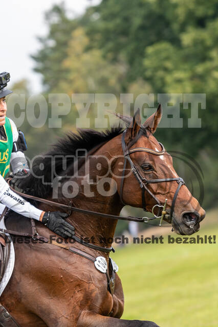 Deutsche Meisterschaft Vielseitigkeit (Luhmühlen)