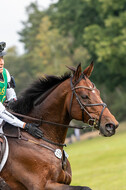 Deutsche Meisterschaft Vielseitigkeit (Luhmühlen)