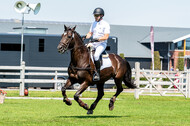 Kronenberg - De Peelbergen (August 2020)