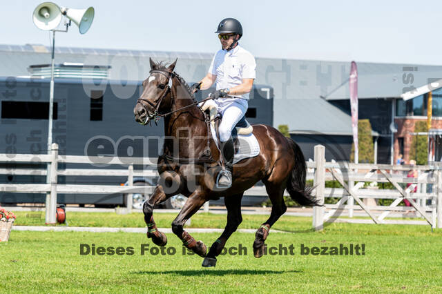 Kronenberg - De Peelbergen (August 2020)