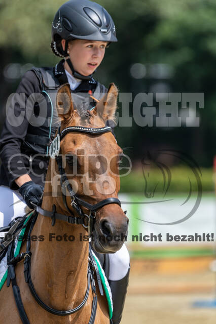 Goldene Schärpe 2021 - Ponys