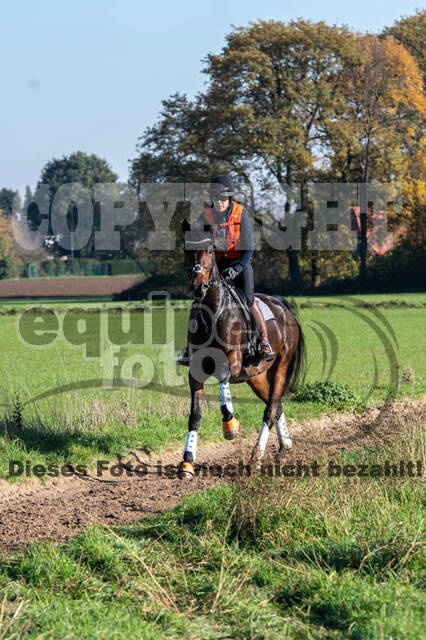 Vielseitigkeitslehrgang mit Jürg Kurbel (9.+10.11.2019)