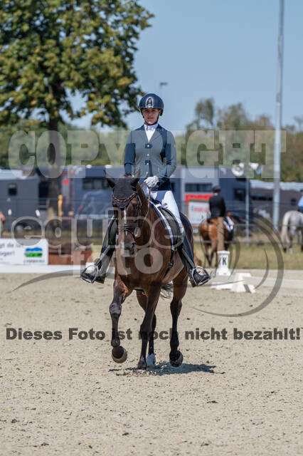 Kronenberg - De Peelbergen (August 2020)