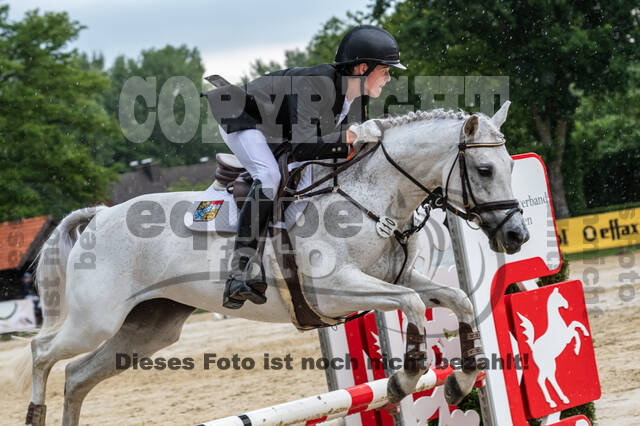 Goldene Schärpe 2021 - Ponys