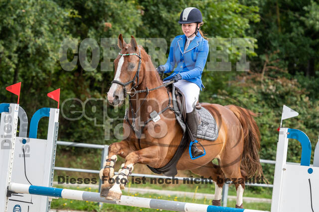 Late-Entry-Vielseitigkeit Langenfeld (06.+07.07.2020)