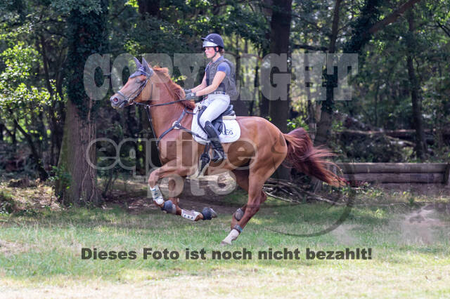 Late-Entry Vielseitigkeit Hamminkeln/Wesel (01.+02.08.2020)