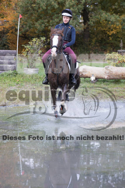 IGV Lehrgang der Sieger der Cups mit Frank Ostholt