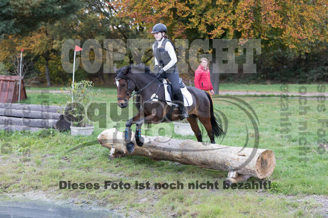 IGV Lehrgang der Sieger der Cups mit Frank Ostholt