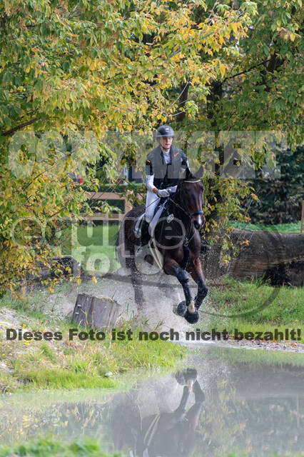 Goldene Schärpe 2020 - Pferde