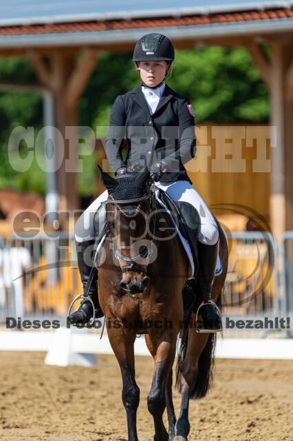 Westerstede Horse Trials 2021