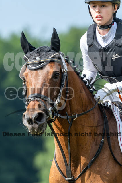 Goldene Schärpe 2021 - Ponys