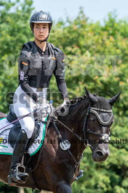 Goldene Schärpe 2021 - Ponys