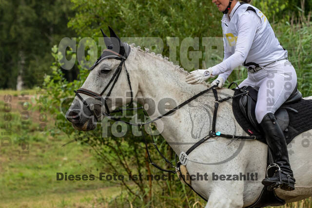 Late-Entry Vielseitigkeit Hamminkeln/Wesel (01.+02.08.2020)