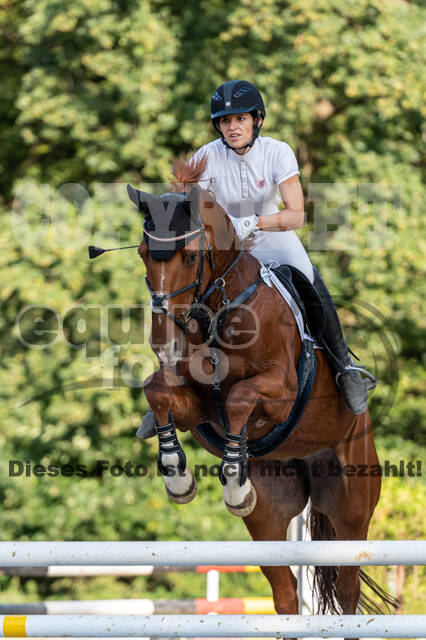 RFV Dinslaken-Hiesfeld (Herbstturnier)
