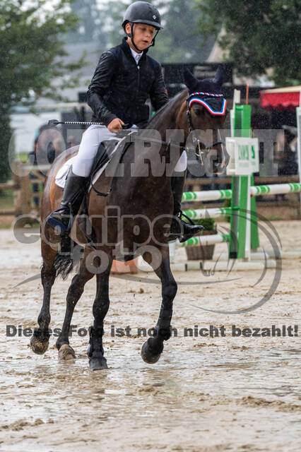 Goldene Schärpe 2021 - Ponys