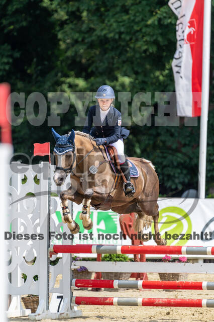 Goldene Schärpe 2021 - Ponys