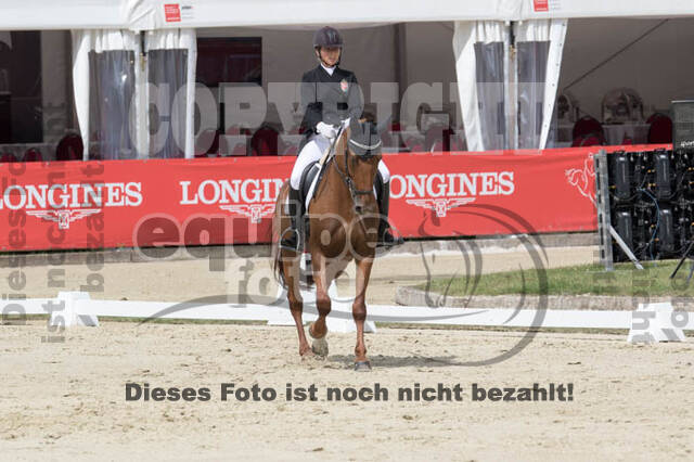 FEI European Championship Eventing 2017