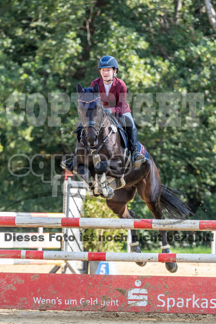RFV Dinslaken-Hiesfeld (Herbstturnier)