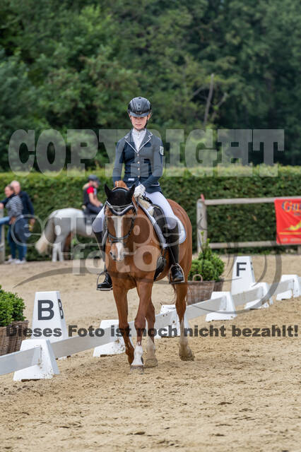 Goldene Schärpe 2021 - Ponys