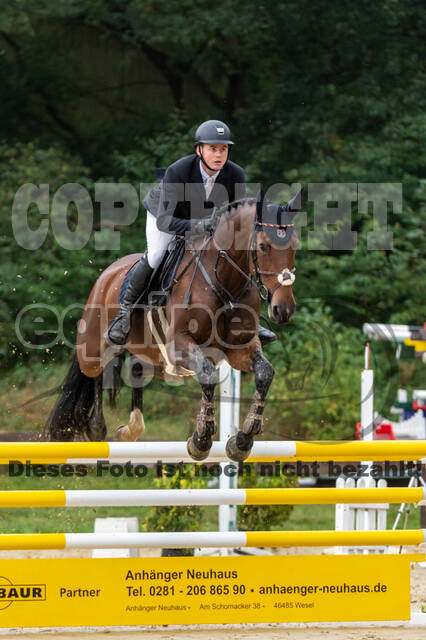 Vielseitigkeit RSV Wesel Obrighoven (26.+27.09.2020)