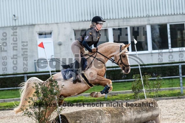 IGV Lehrgang der Sieger der Cups mit Frank Ostholt