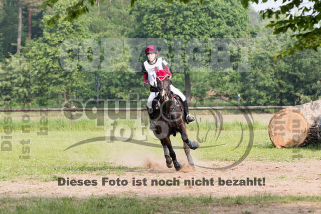 Vielseitigkeitsturnier ZRFV von Lützow Hamminkeln