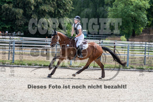 Late-Entry-Vielseitigkeit Langenfeld (11.+13./14.06.2020)