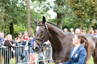 FEI European Championship