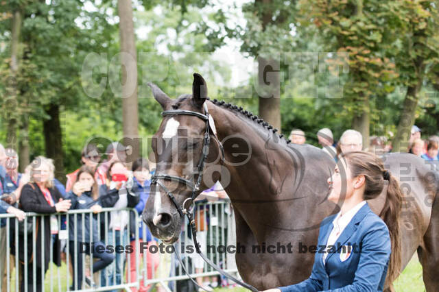 FEI European Championship