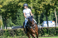 Kronenberg - De Peelbergen (August 2020)