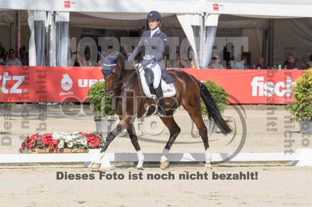 FEI European Championship Eventing 2017